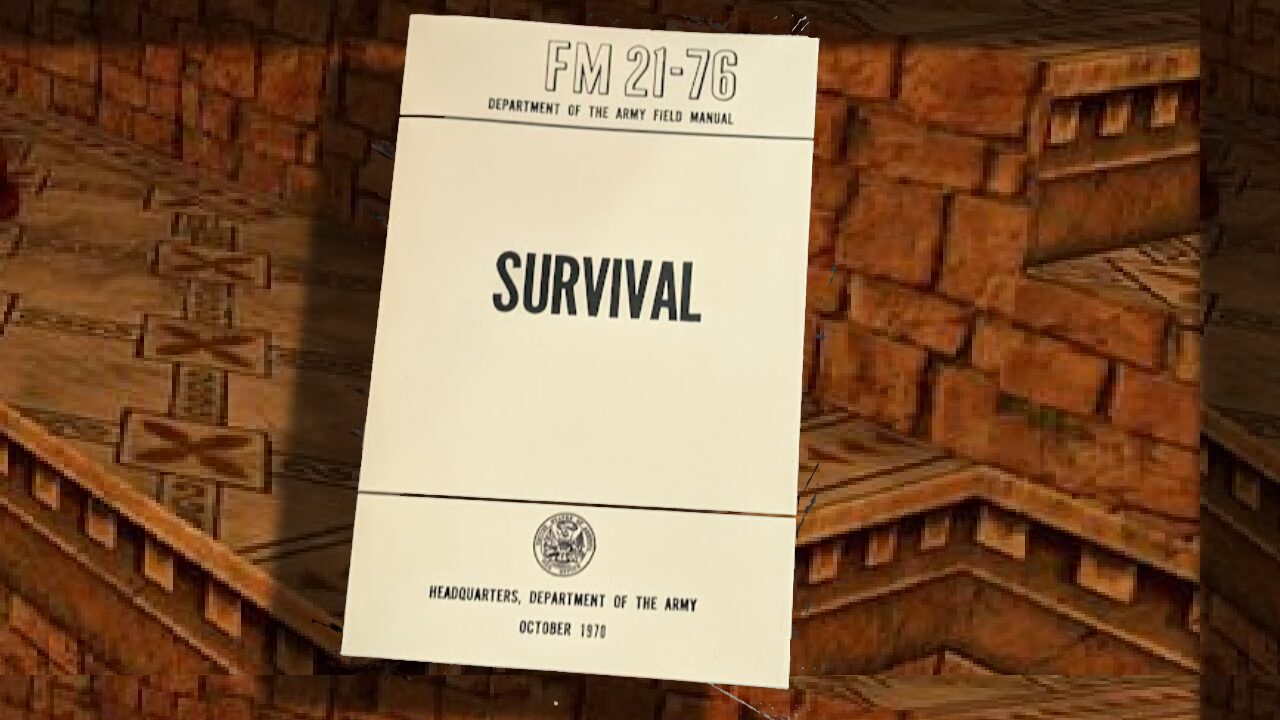 Surival guide,2d lara croft tomb raider style