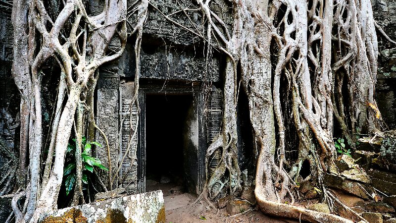 Clearly an overgrown ...cave thingie. A church? What is it called. A freaking tomb. I forgot the word.